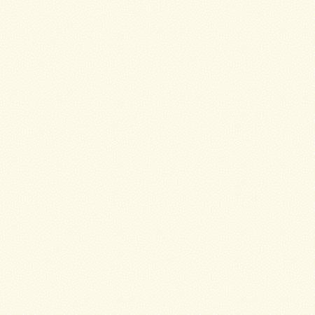 Michael Miller Garden Pindot Fabric – Alabaster White, 44" Wide, 10 Yard Bolt For Quilting & Crafts