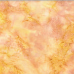 1895 Watercolors - Mimosa