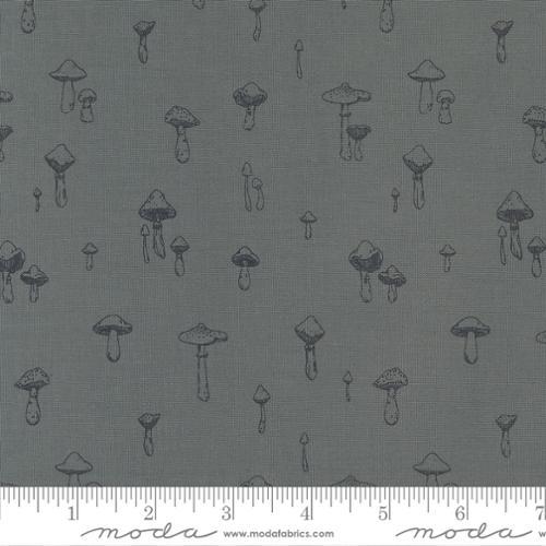 Autumn Forest - Mushroom Mirage Dusk