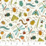 Backyard Bug Collector - Small Bugs