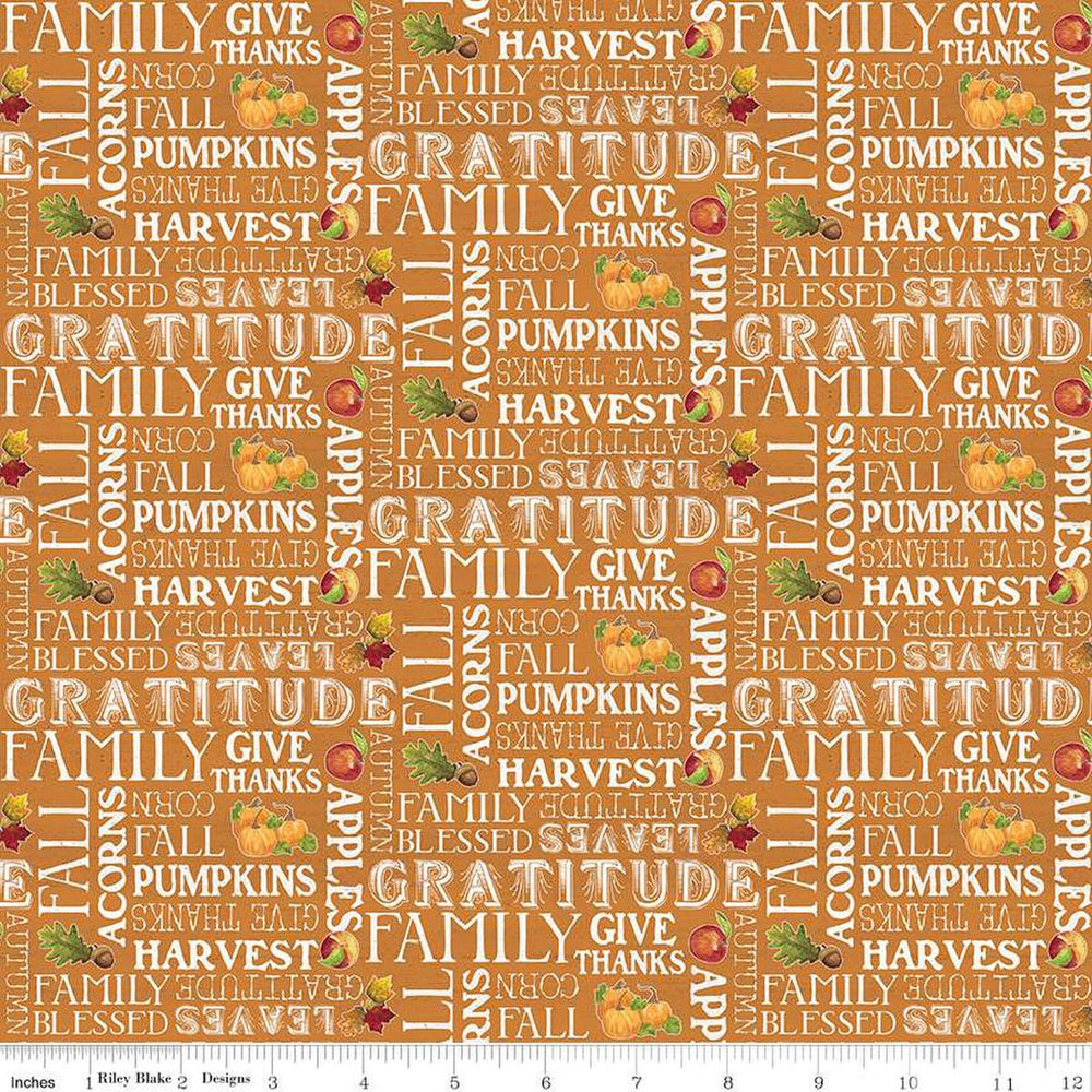 Happy Thanksgiving - Fall Text  Orange Placemat Backing 1 1/8 yards