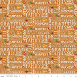 Happy Thanksgiving - Fall Text  Orange Placemat Backing 1 1/8 yards