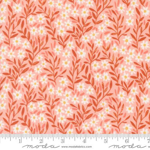 Kindred - Blush Medium Flowers