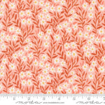 Kindred - Blush Medium Flowers