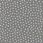 Moonlit Dreams - Tossed Stars Granite