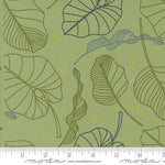 Olive You Leaves Sage
