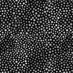 Rainbow Droplets - Water Droplets Charcoal