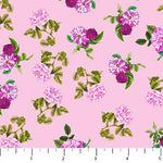 Rosa - Purple Flowers