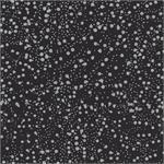 Shades of Grey - Black w/Small Dots