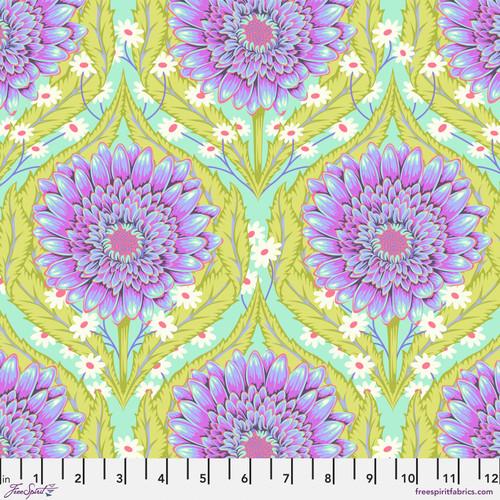 Untamed - Daisy and Confused