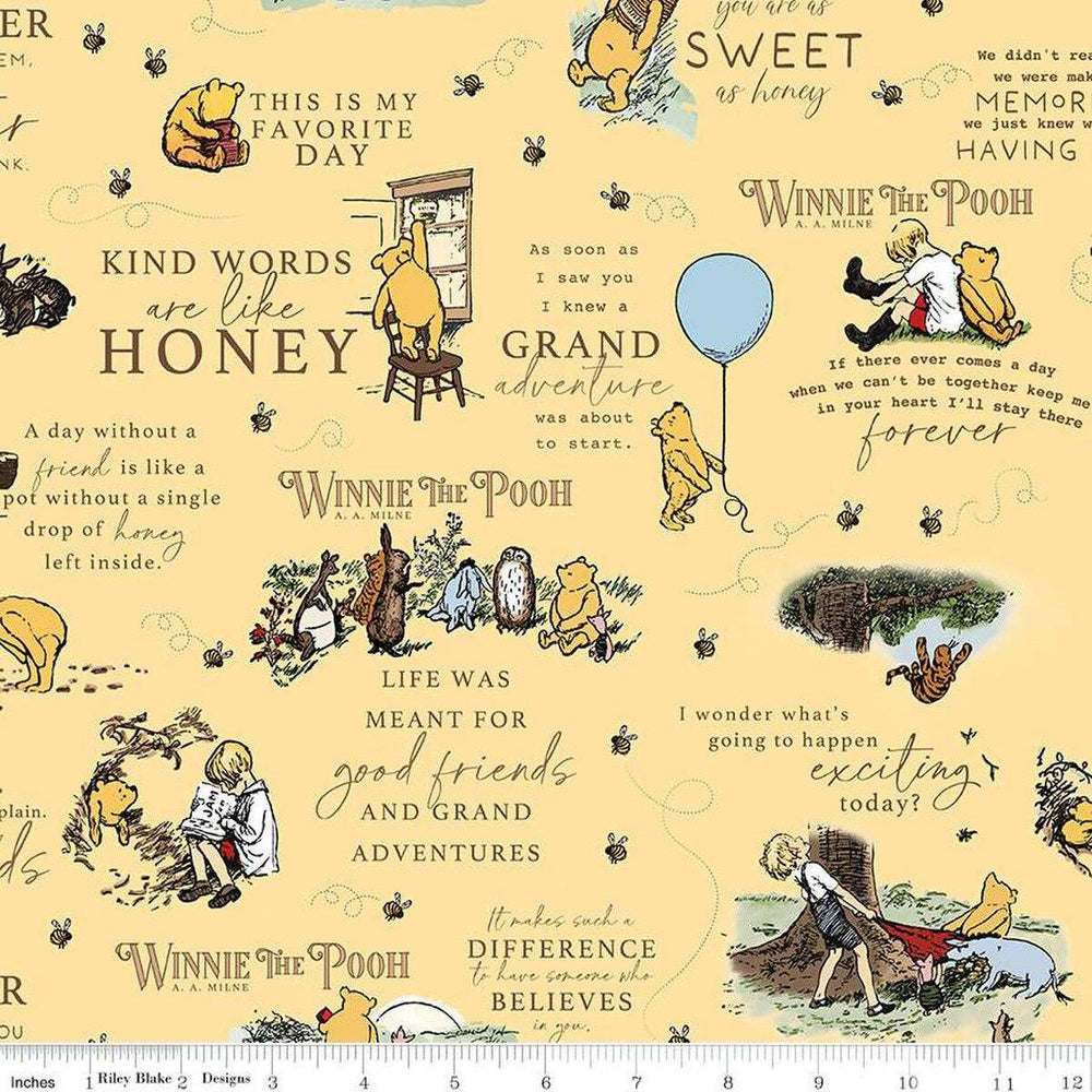 Winnie The Pooh - Main Sunshine