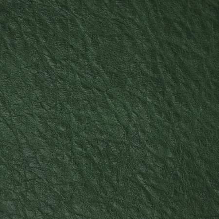 1/2 Yard Faux Leather  Sallie Tomato - Forest Green