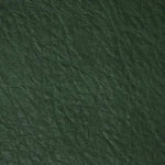 1/2 Yard Faux Leather  Sallie Tomato - Forest Green