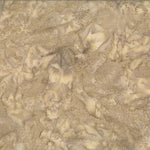 1895 Watercolors - Biscuit
