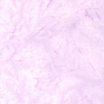 1895 Watercolors - Lotus
