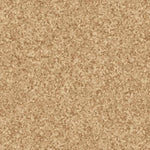 Color Dance - Acorn