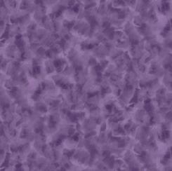 Color Dance - African Violet