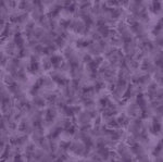 Color Dance - African Violet