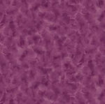 Color Dance - Magenta