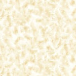 Color Dance - Oatmeal