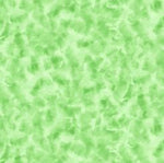 Color Dance -