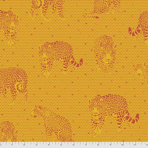 Daydreamer - Lil Jaguars Papaya