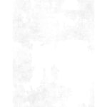 Dry Brush - White on White
