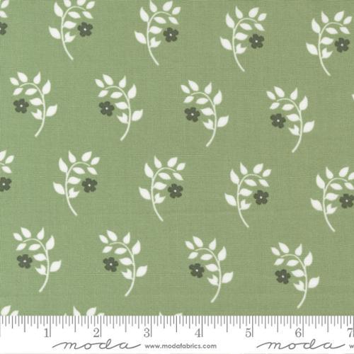 Dwell Homebody Grass