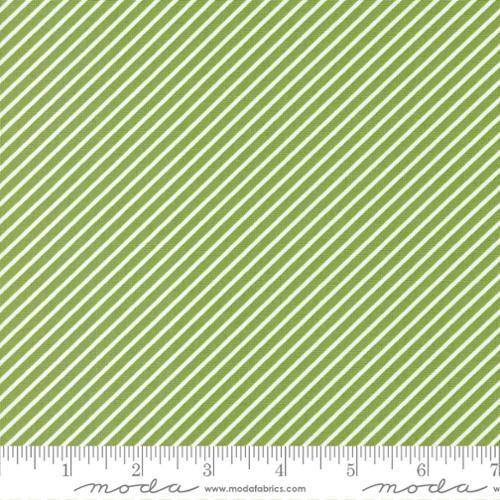 Favorite Things Evergreen Stripe