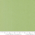 Favorite Things Evergreen Stripe