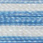 Isacord Variegated 1000m-The B