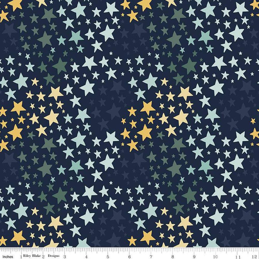 It's A Boy Stars Navy