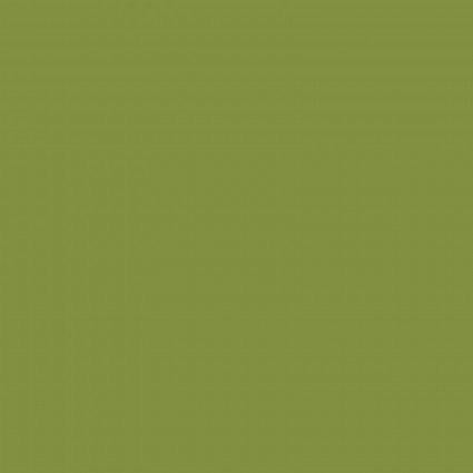 Kimberbell Silky Solids -Prickly Pear