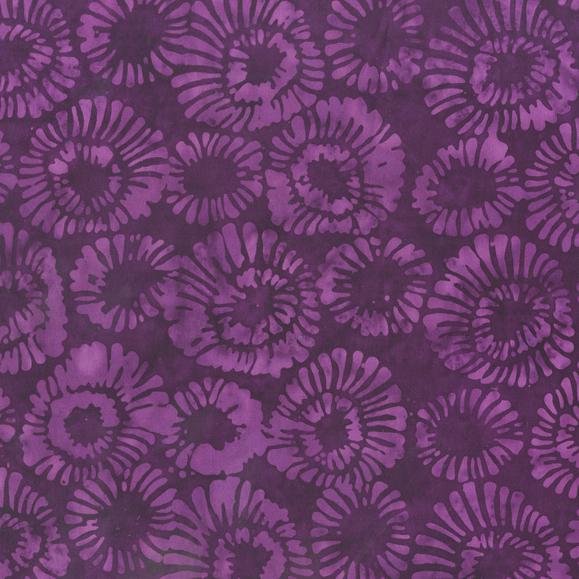 Mums -Grape
