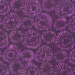 Mums -Grape