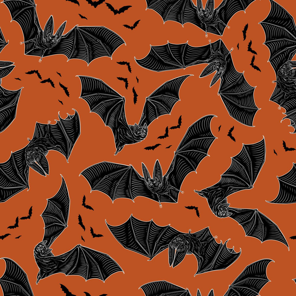 Scaredy Cat - Night Fliers Orange