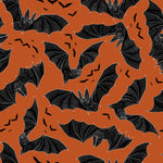 Scaredy Cat - Night Fliers Orange