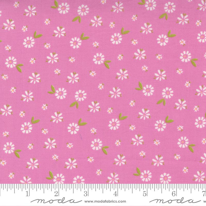 Seashore Drive-Floral Dot Sweet Pea