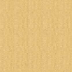 Silky Cotton Solids Custard
