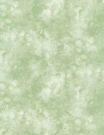 Solid-ish - Sage
