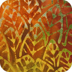 Terrain Cedar