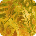 Terrain Curry