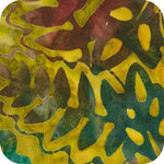 Terrain Nature
