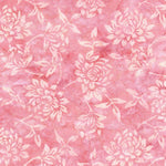 Tonga Black Cherry- Blush