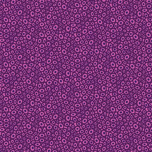 Transparency - Beads Magenta