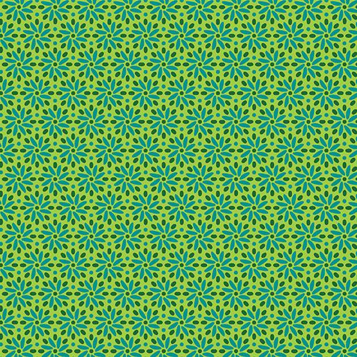Transparency - Daisy Citrus