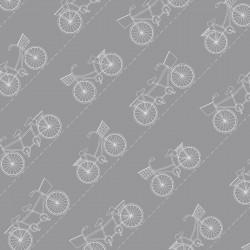 Vintage Boardwalk Diagonal Bikes on Grey