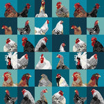 Zooming Chickens - Chicken Blocks